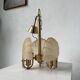 Shell and brass chandelier from the 70s