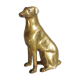 Dog brass