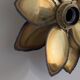 Paire appliques feuilles brutalistes
