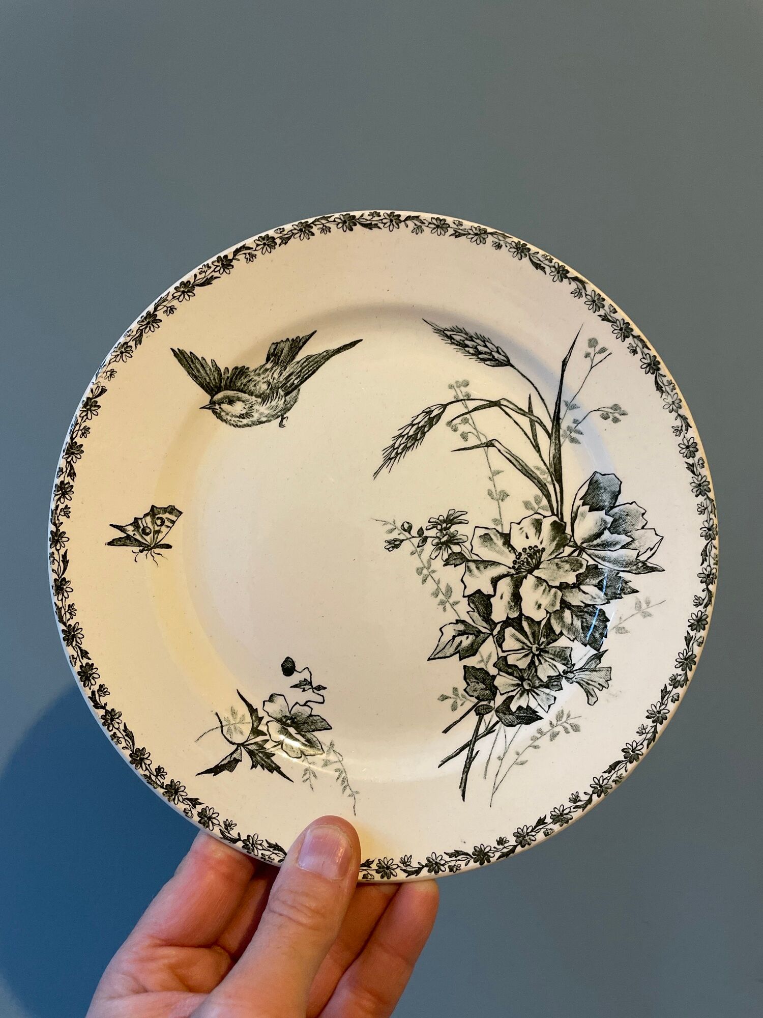 Set of 12 Terre de Fer dessert plates Grand Dépôt E.Bourgeois