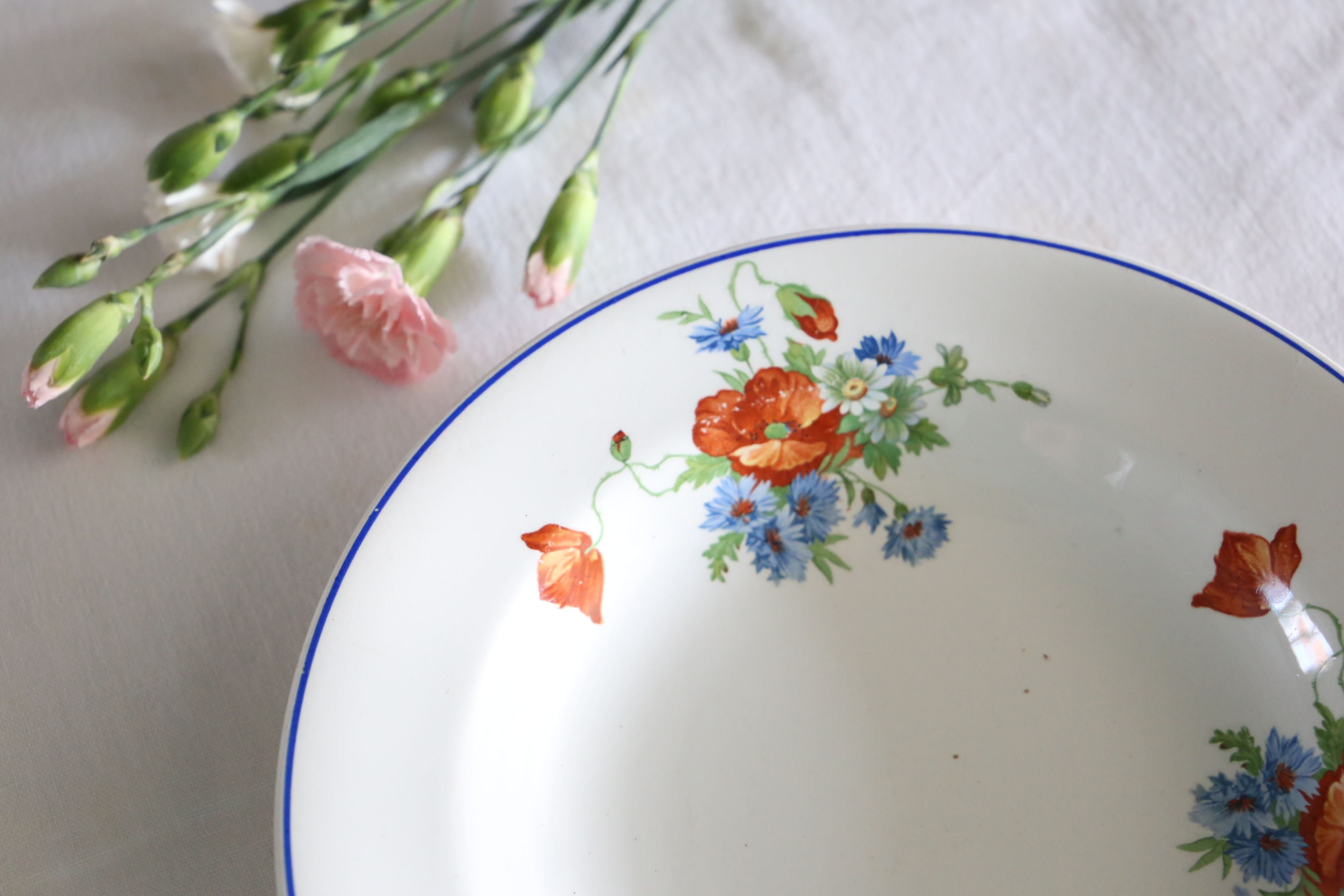 Set of 6 hollow plates of Salins, Poppy pattern, opaceline, vintage