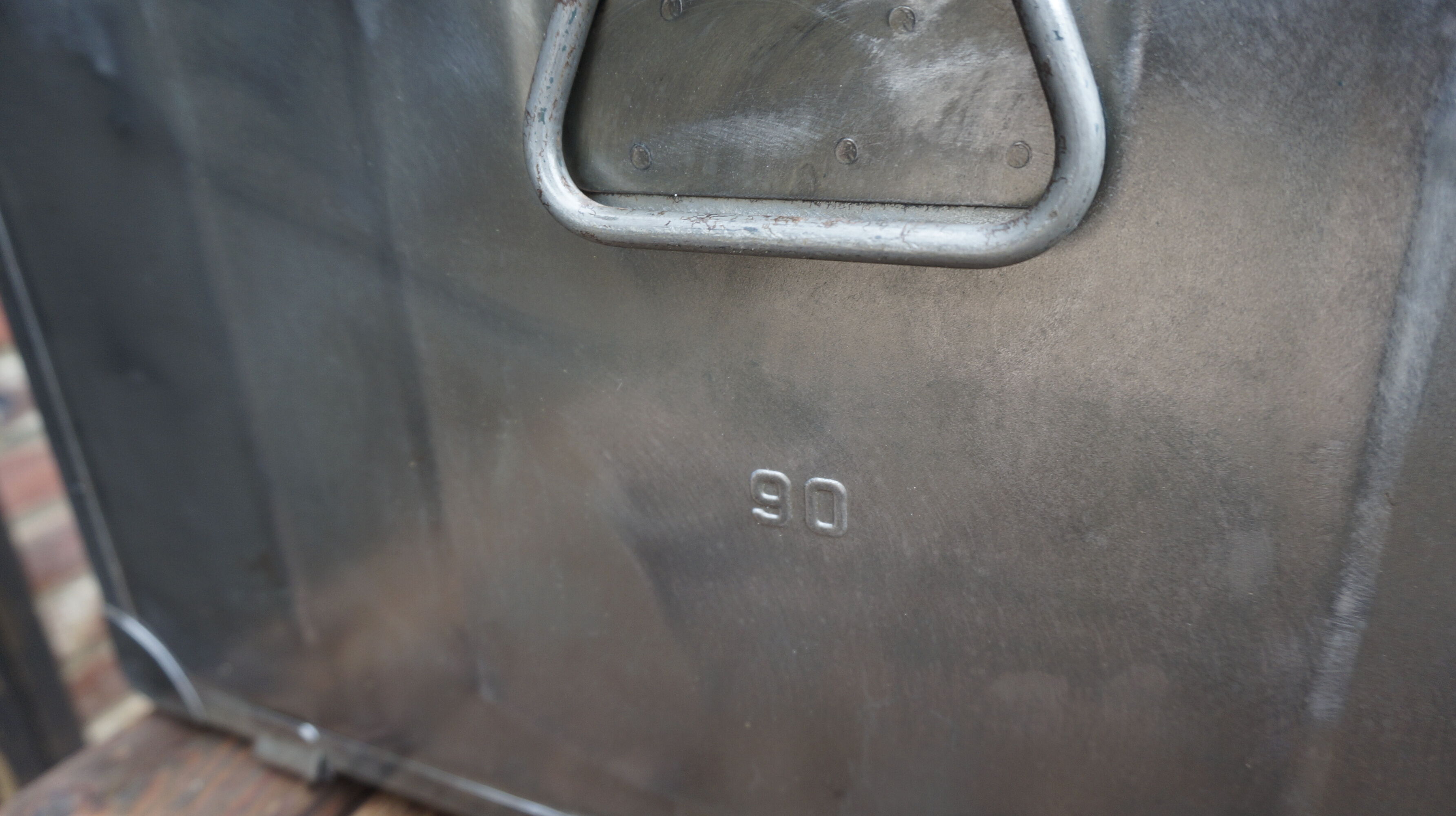 Trunk in metal brush