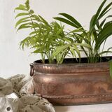 Copper planter