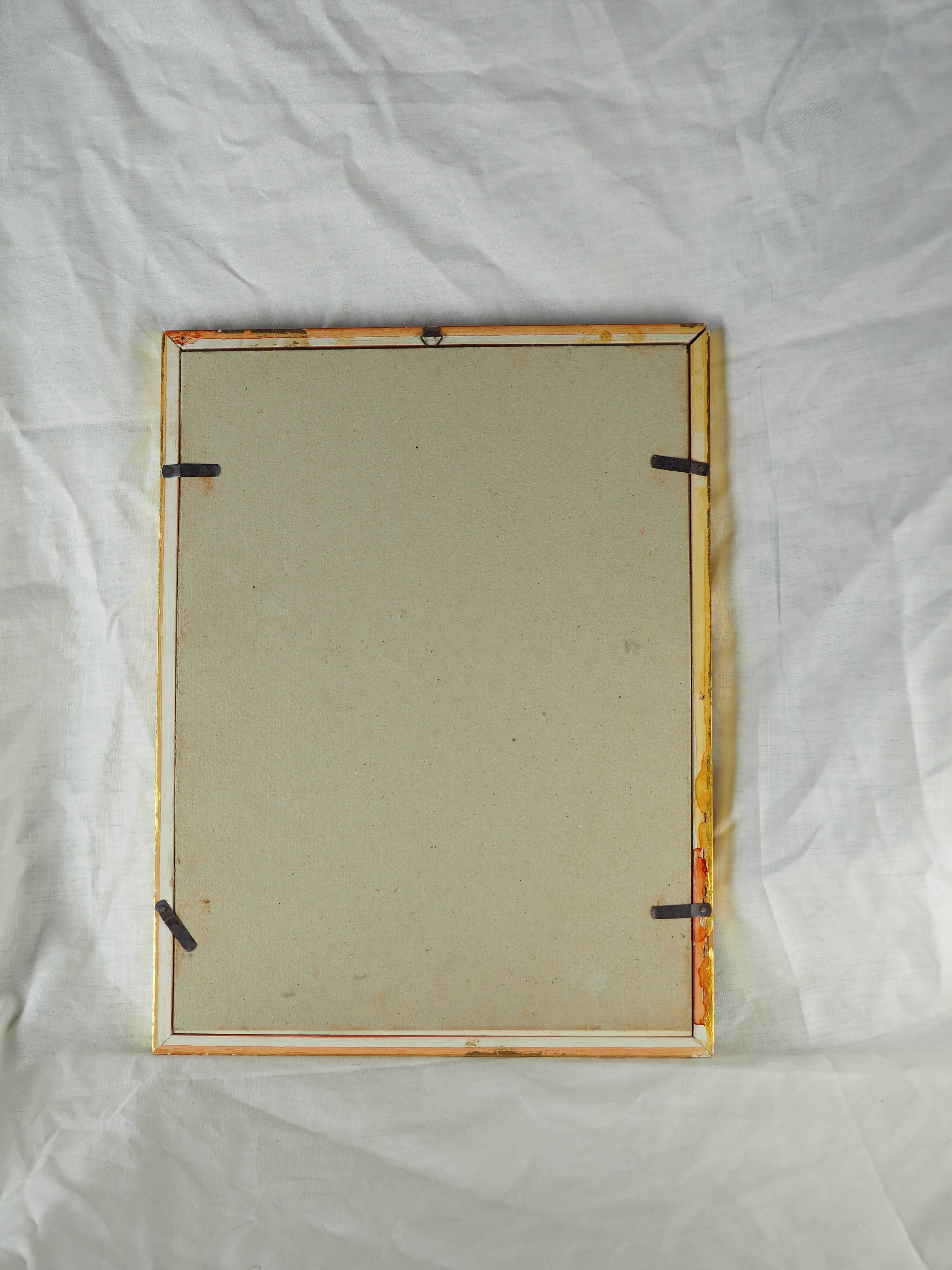 Lithography with Bouguer's Hummingbird foraging (Urochroa bougieri) - J. Gould and H.C. Richter - Mid-XIXth