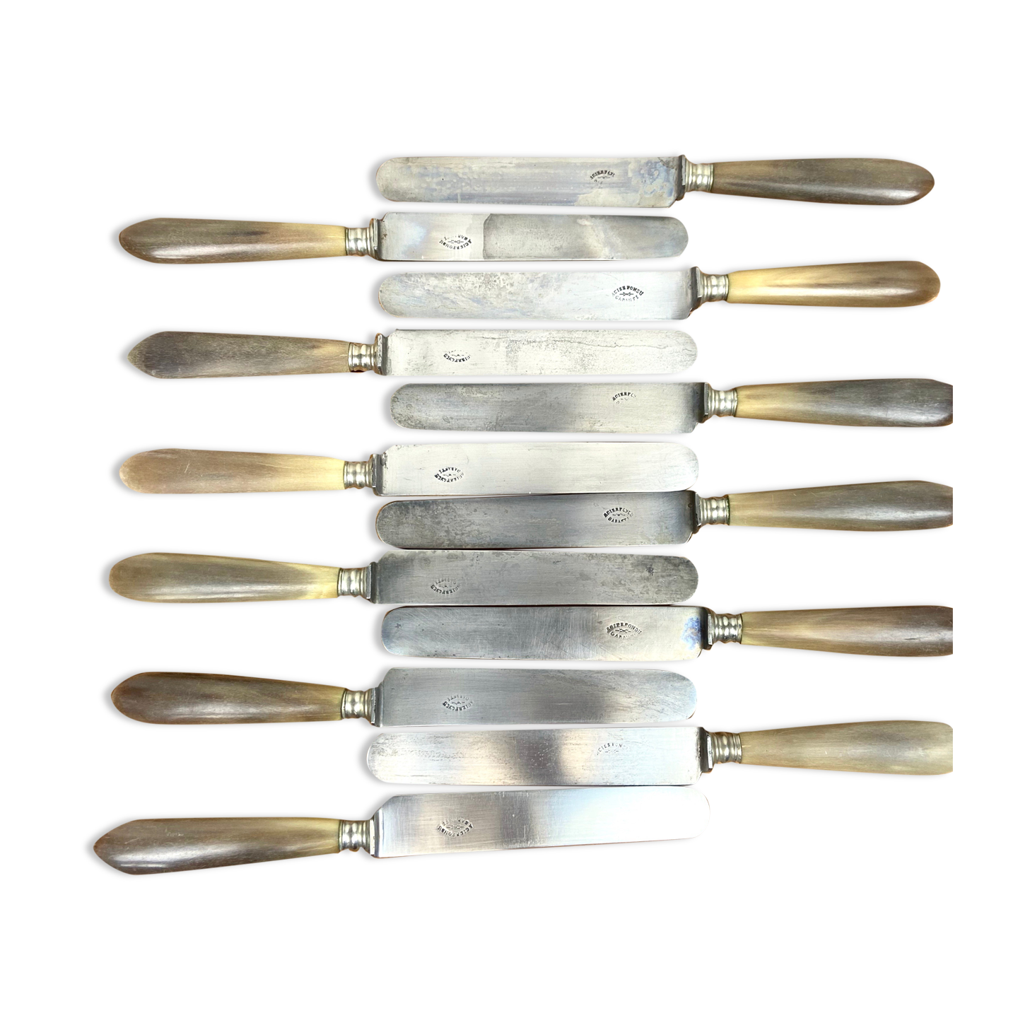 Service Of 12 Table Knives - Blonde Horn Handle