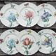 6 dessert plates Villeroy and Boch model Bouquet lot1