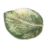 Dish in dabbling