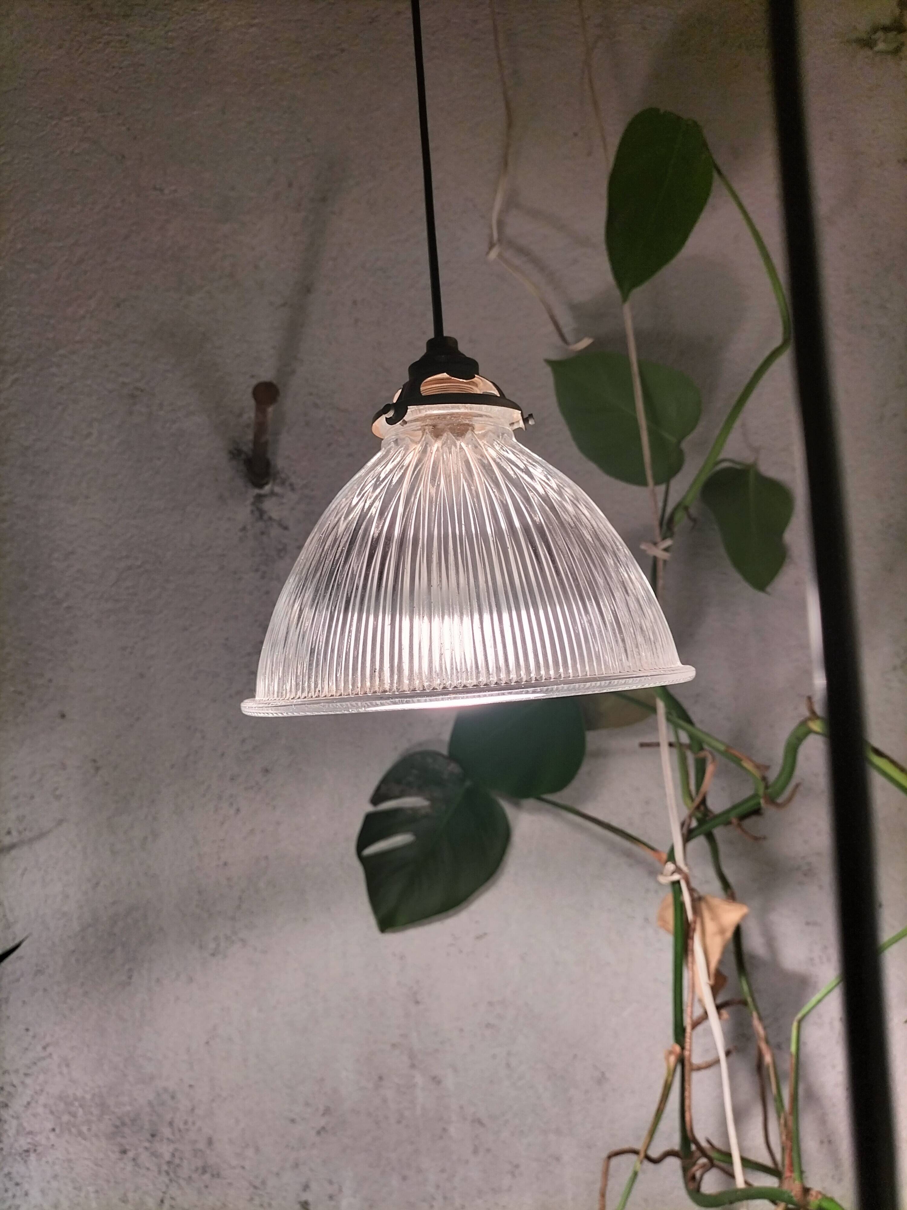 Holophane suspensions