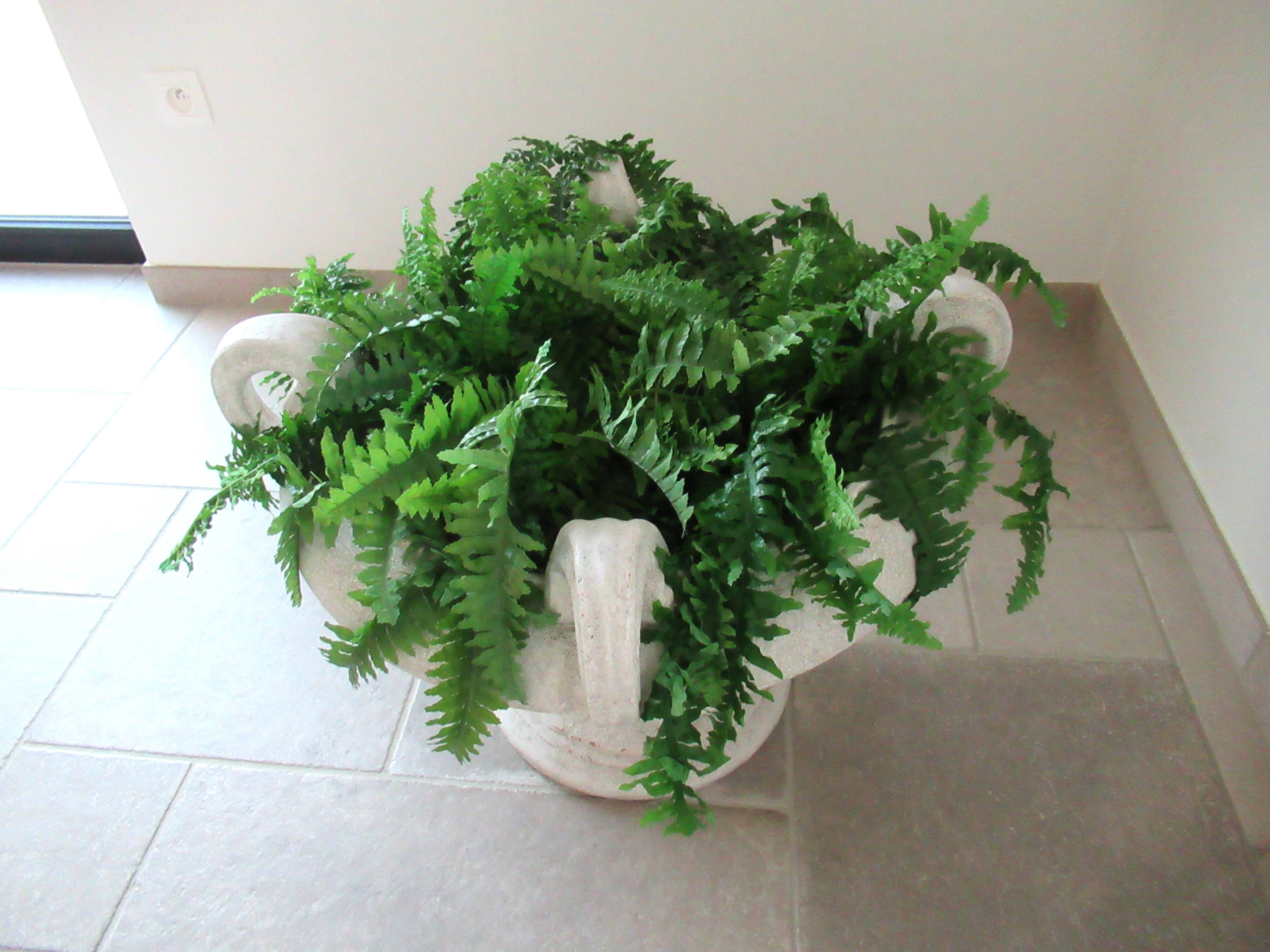 Paolo Marioni coupe / table foot / decoration / container with silk ferns