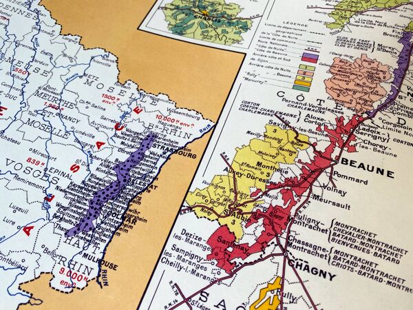 Carte de la France vinicole en 1949
