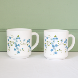 2 mug arcopal Veronica myosotis decoration