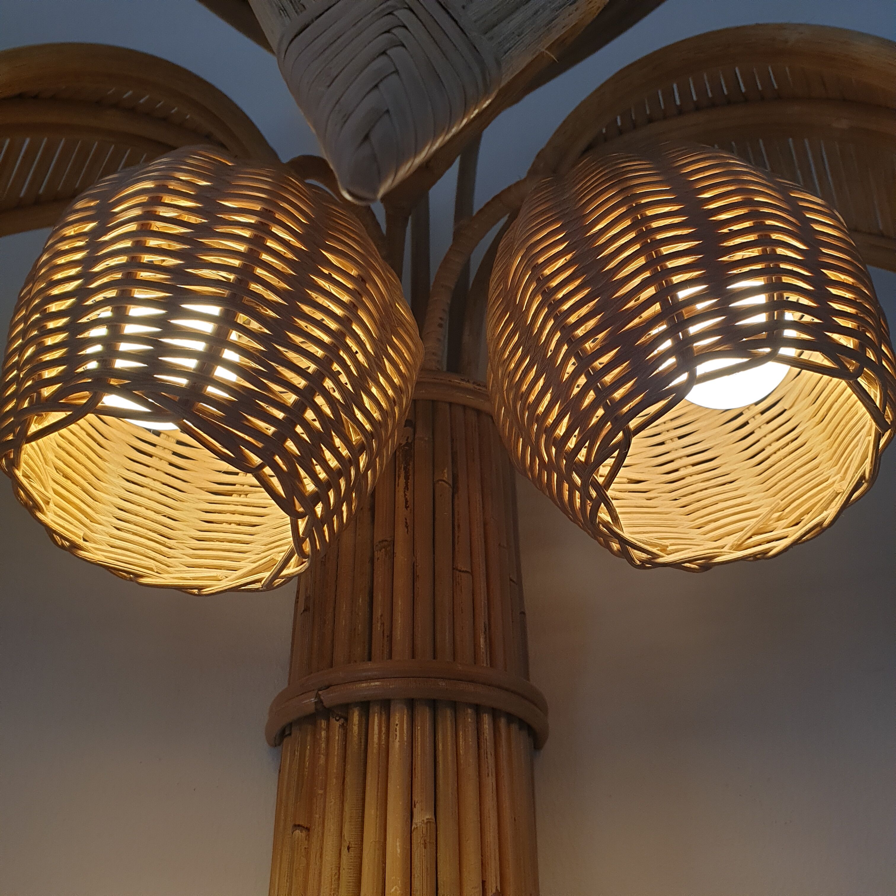 Pair of coconut sconces