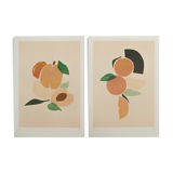 Duo abricots, oranges A4