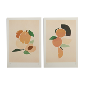Duo abricots, oranges A4