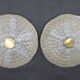 Paire de plafonniers en laiton et verre Carl Fagerlund des années 1970, Suède