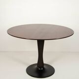 Mid-Century Pedestal Table by Dřevotvar Jablonné, 1960s, Restored
