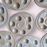 8 snail plates sandstone from the marsh France