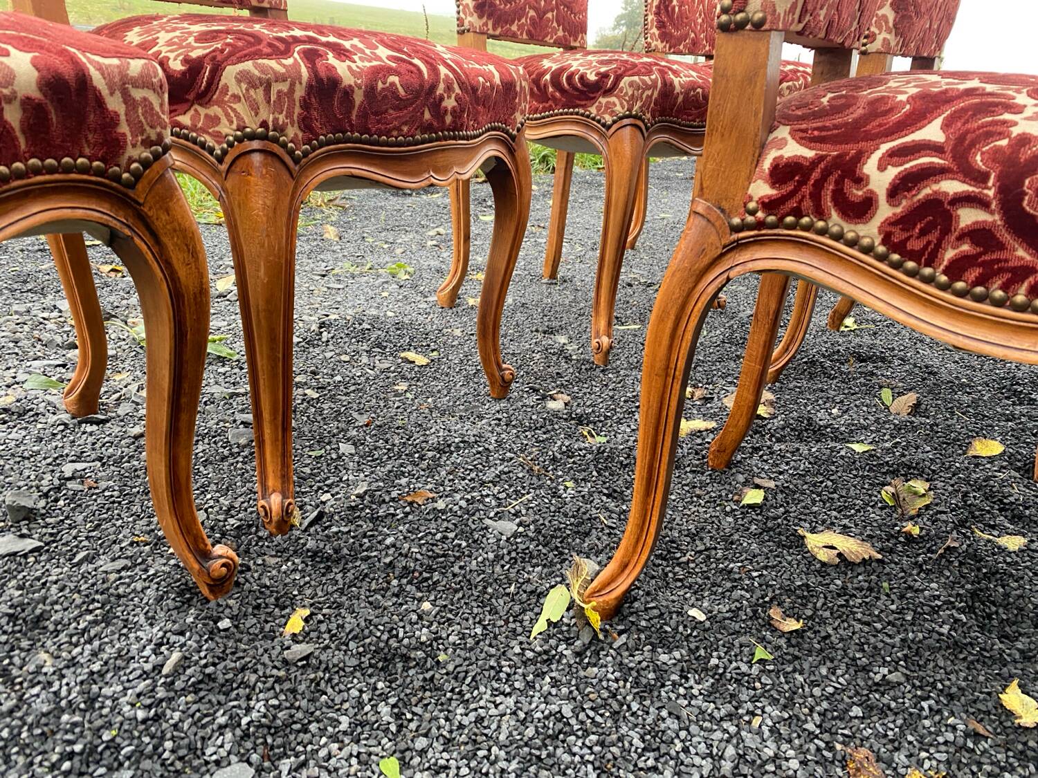 6 chaises de style Louis XV