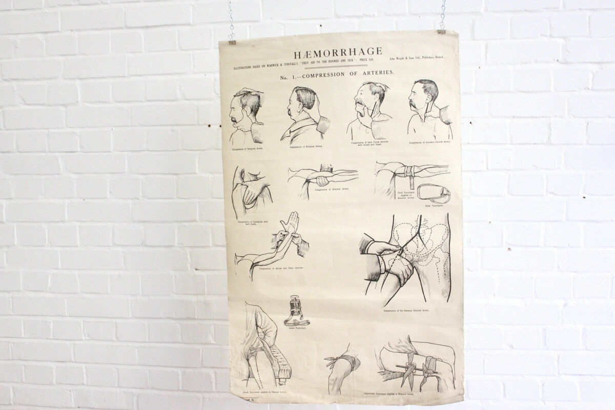 Displays educational anatomical bleeding