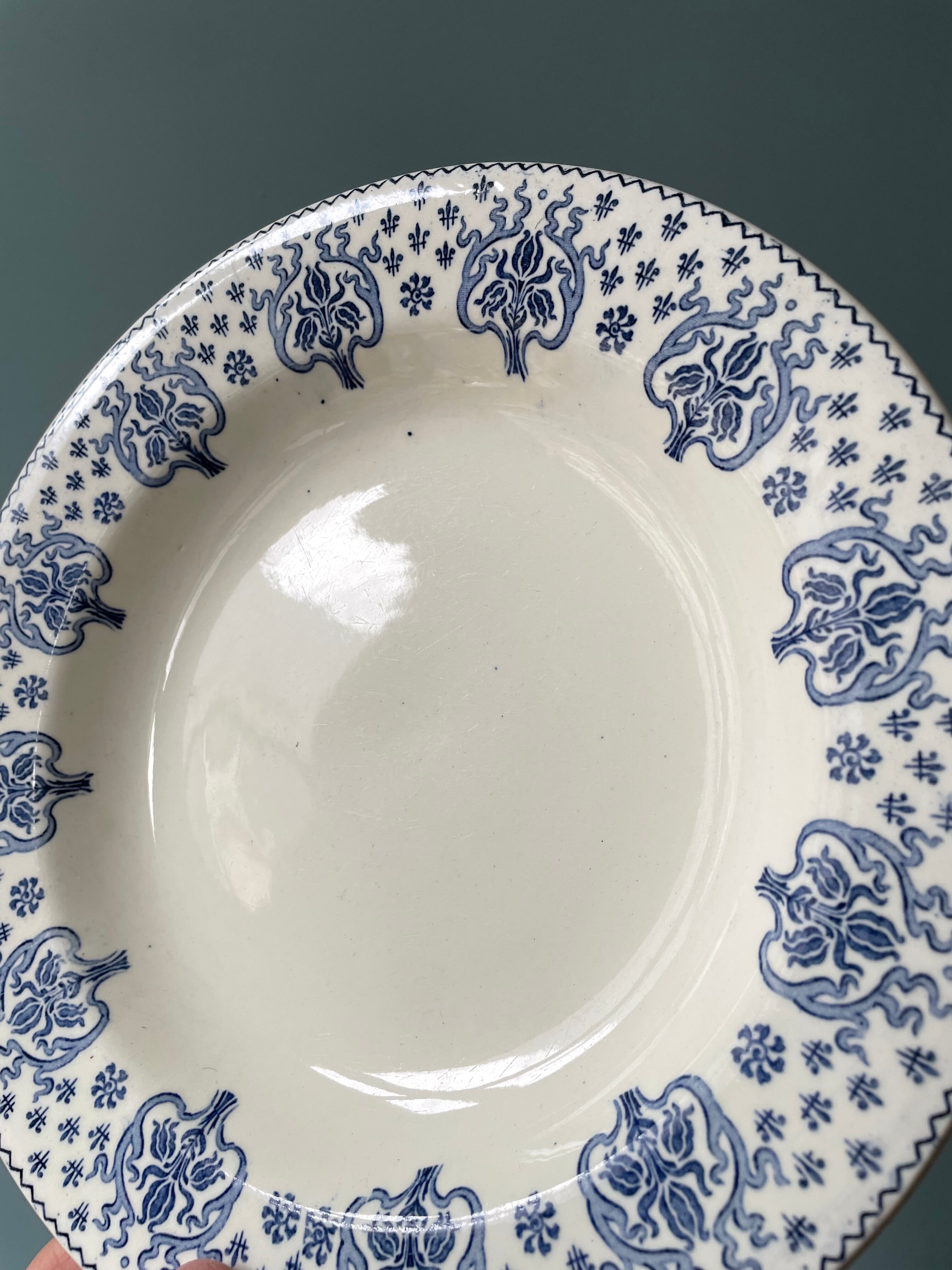 Set of 5 hollow plates Terre de Fer R&A Salins, model Palmes