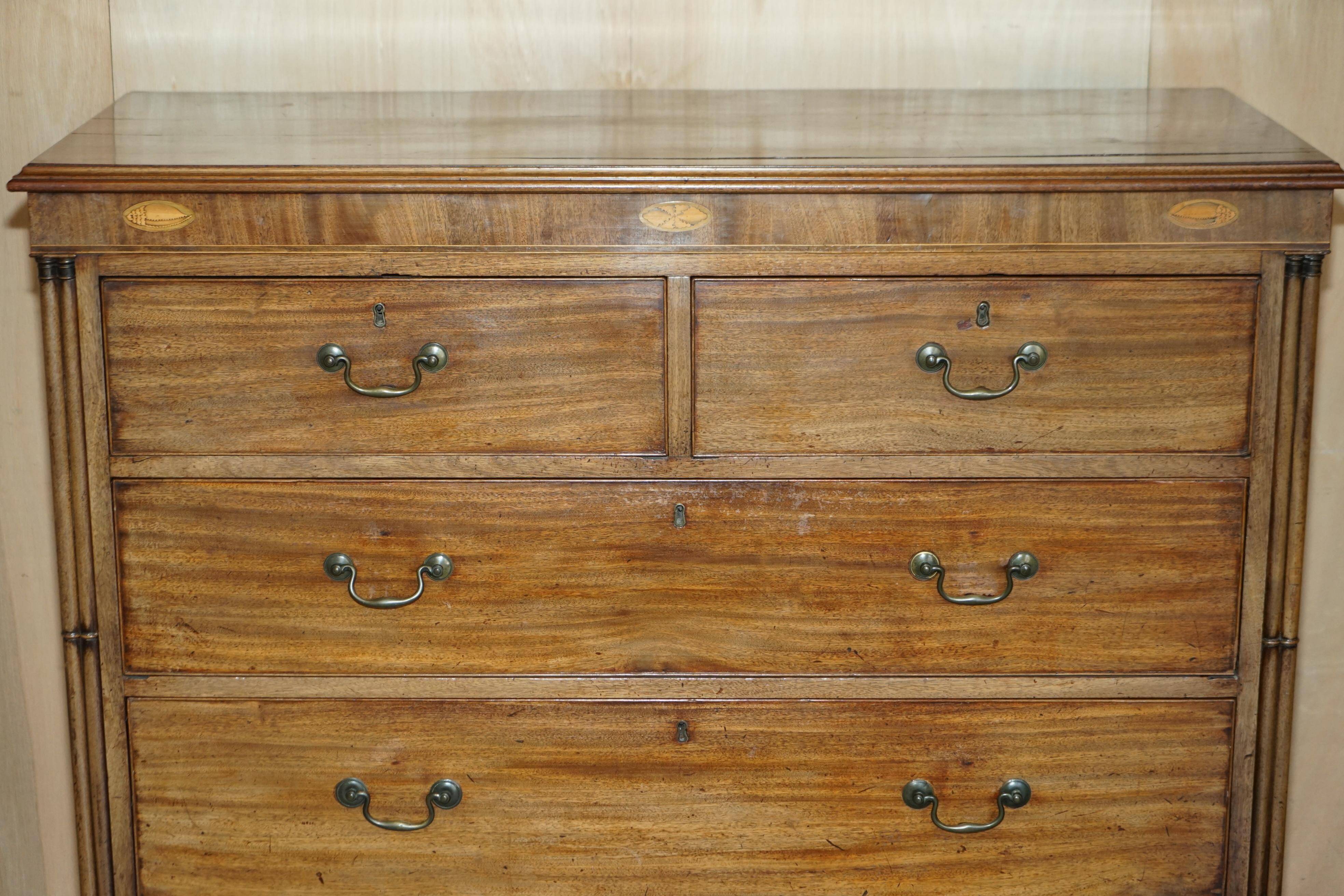 Grande commode antique Thomas Chippendale Sheraton Revival bois dur
