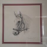 Dessin lavis mine de plomb sur velin tableau cheval signature a identifier encadrée signée et datée