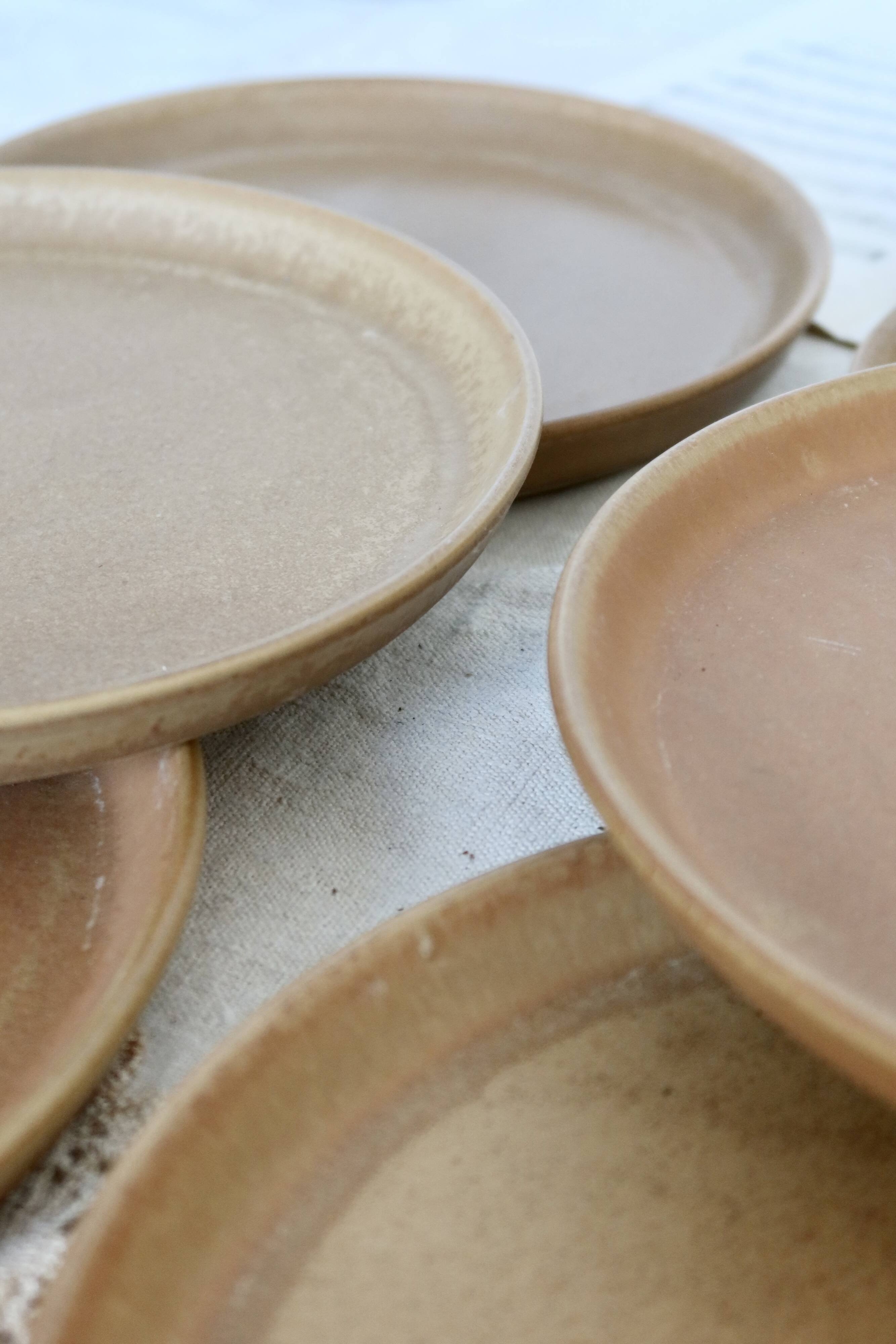 6 vintage stoneware dinner plates