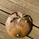 Art Nouveau bronze catchall/dish signed Leon Kann.