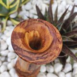 Olive tree vase
