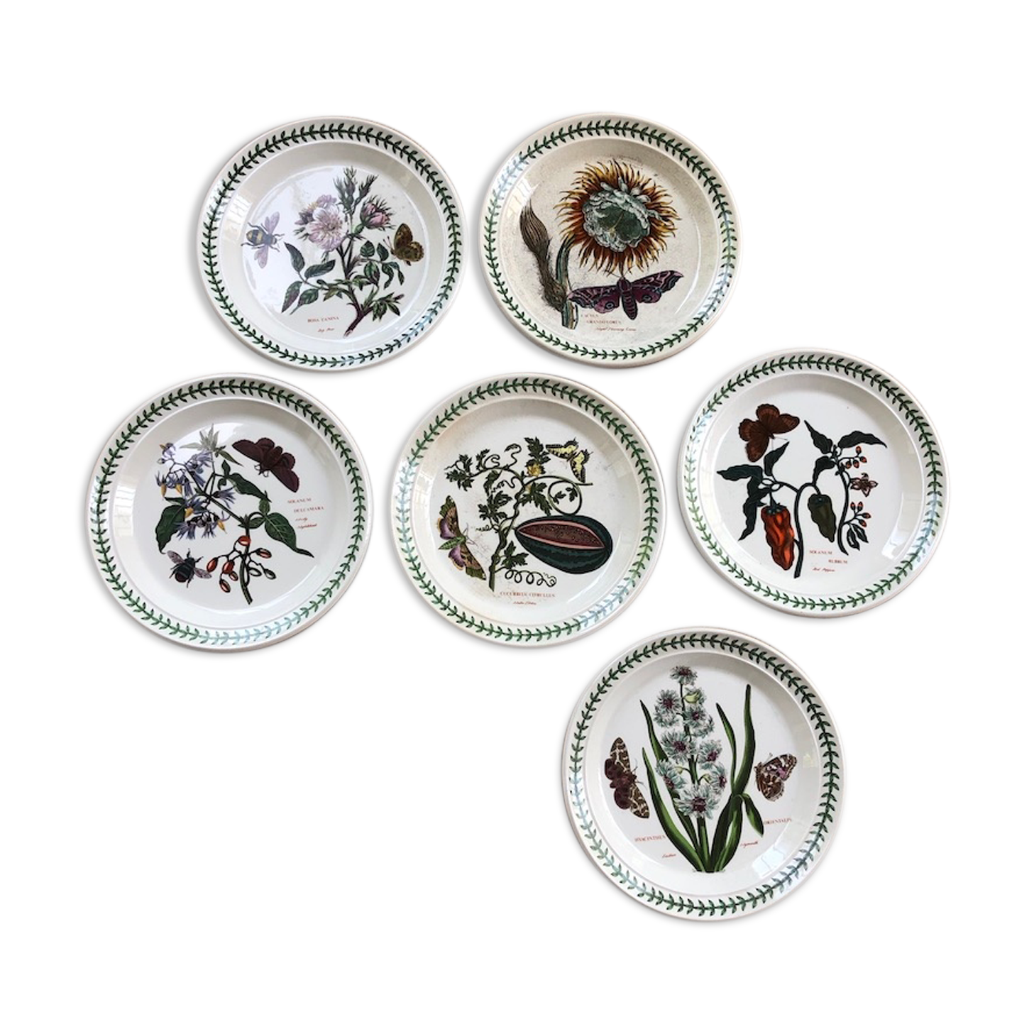 6 plates The Botanic Garden