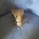 Cendrier mouche