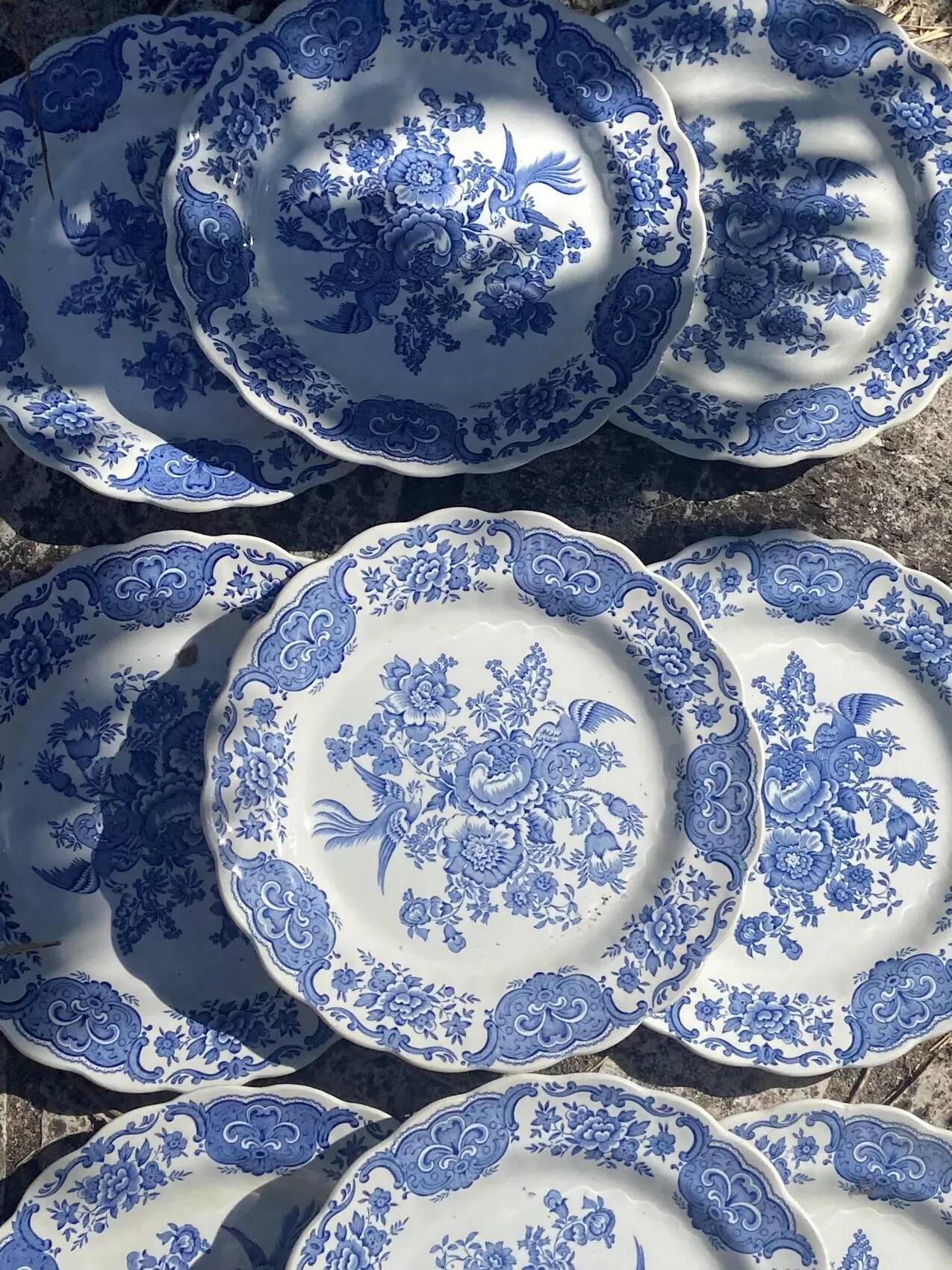 Ridgeway 13-piece dinner plate set – Windsor pattern – English Staffordshire earthenware