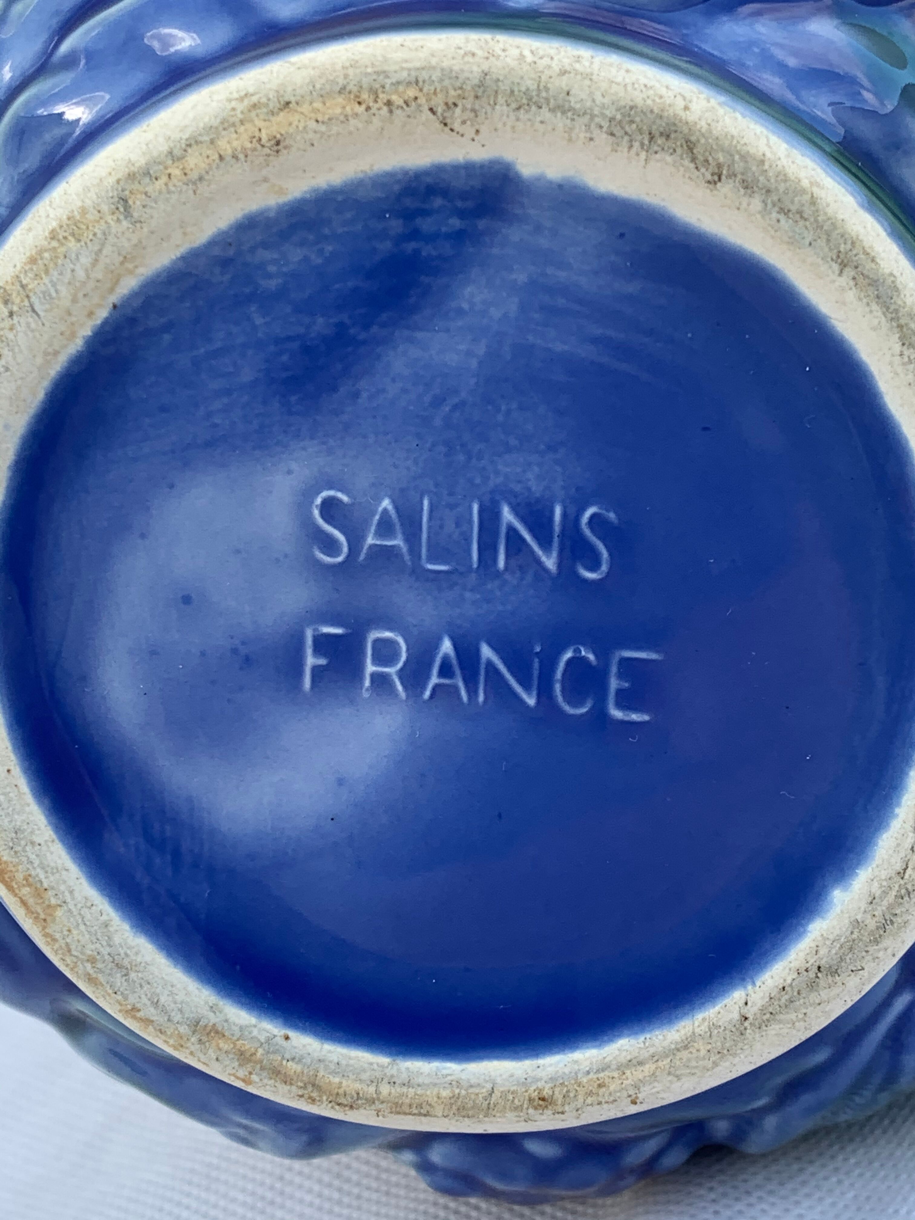 Salins purple pitcher