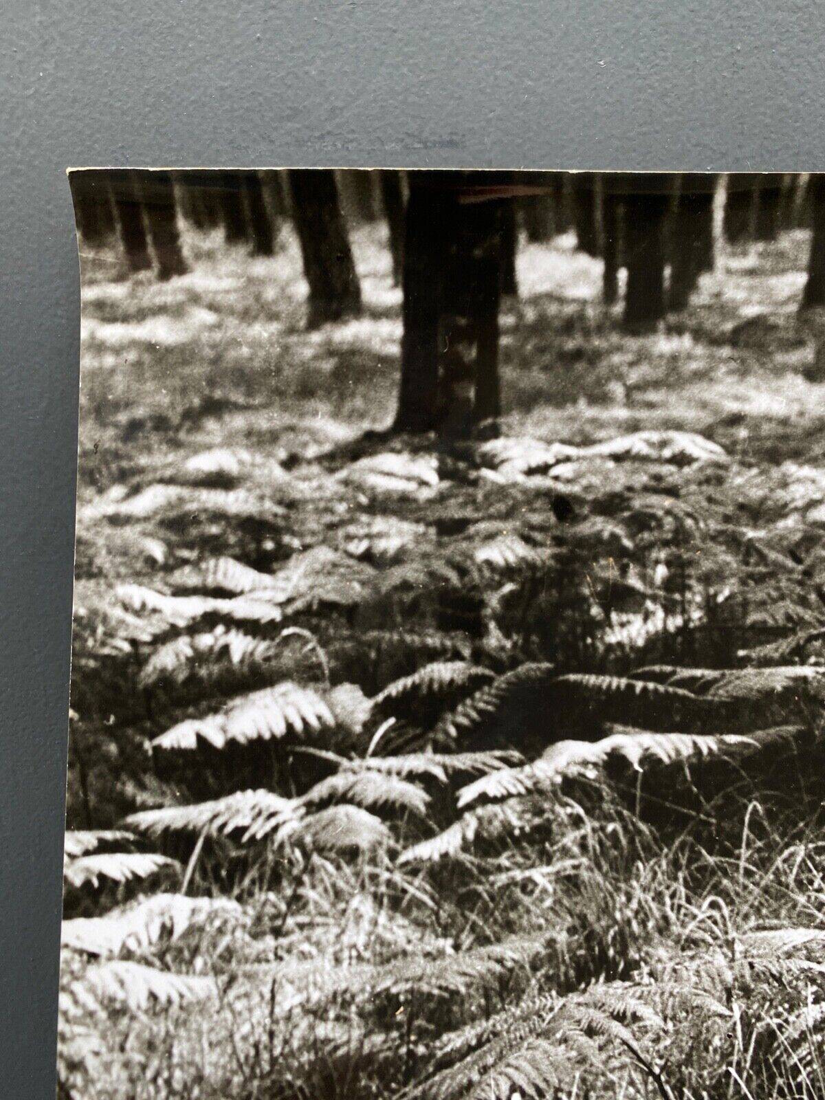 Silver gelatin photograph by Bernard Darot, Fougères, 20th century