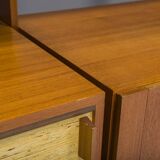 Mid-Century Shelf System by Dieter Wäckerlin for Behr, 1955