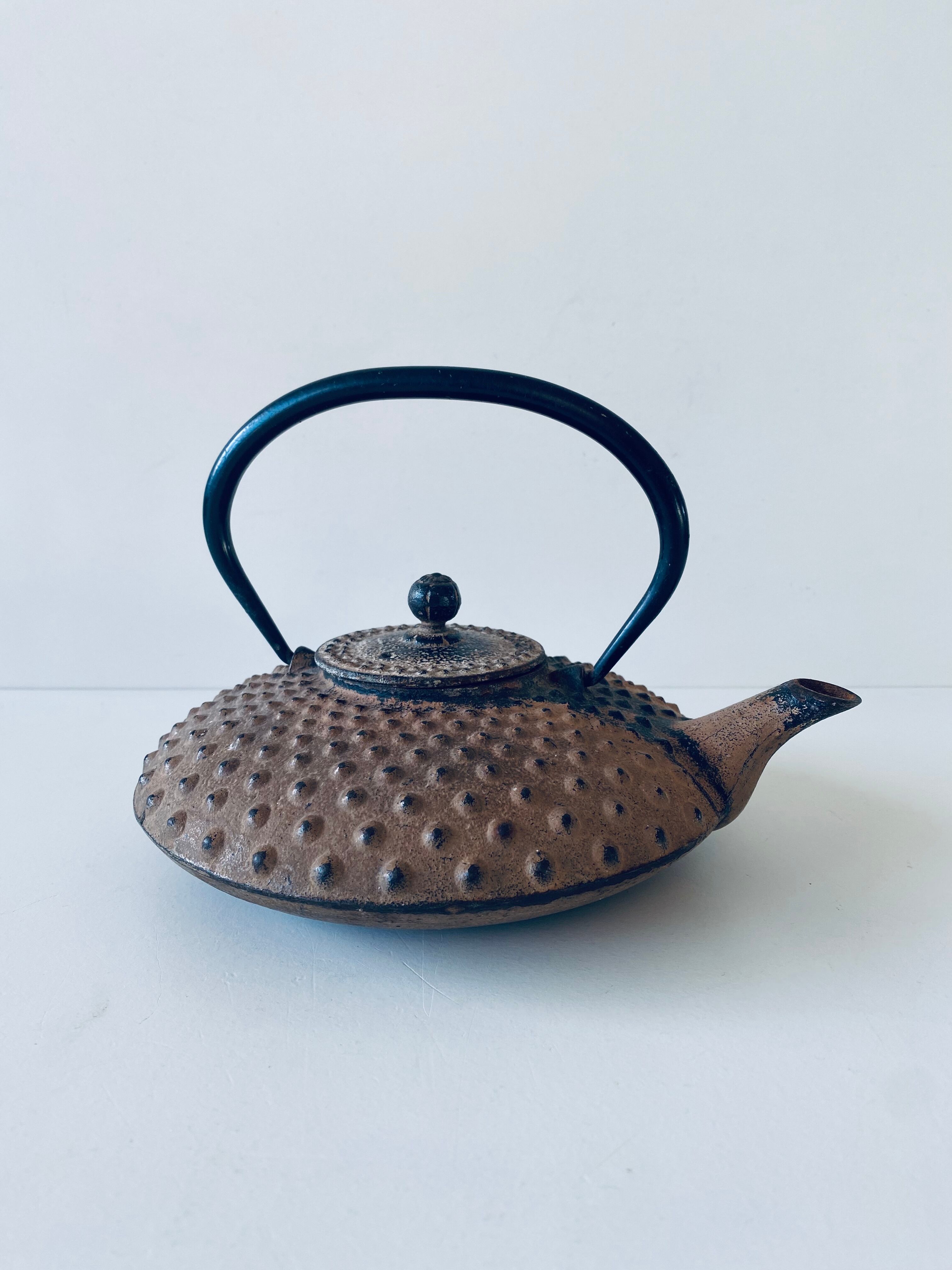 Ancient Japanese teapot in cast iron