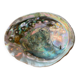 Coquille d'abalone coquille de nacre