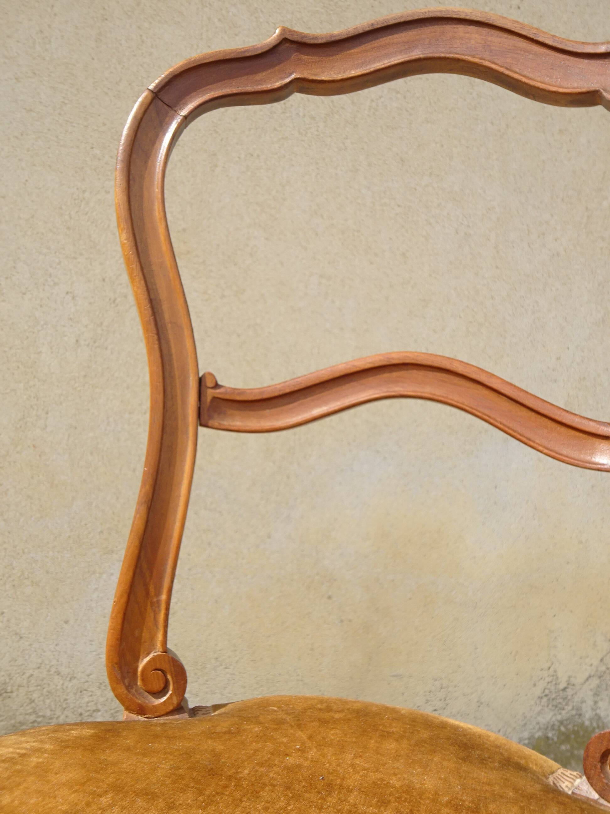 2 old chairs in walnut and velvet