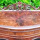 Napoleon III period display cabinet in rosewood.