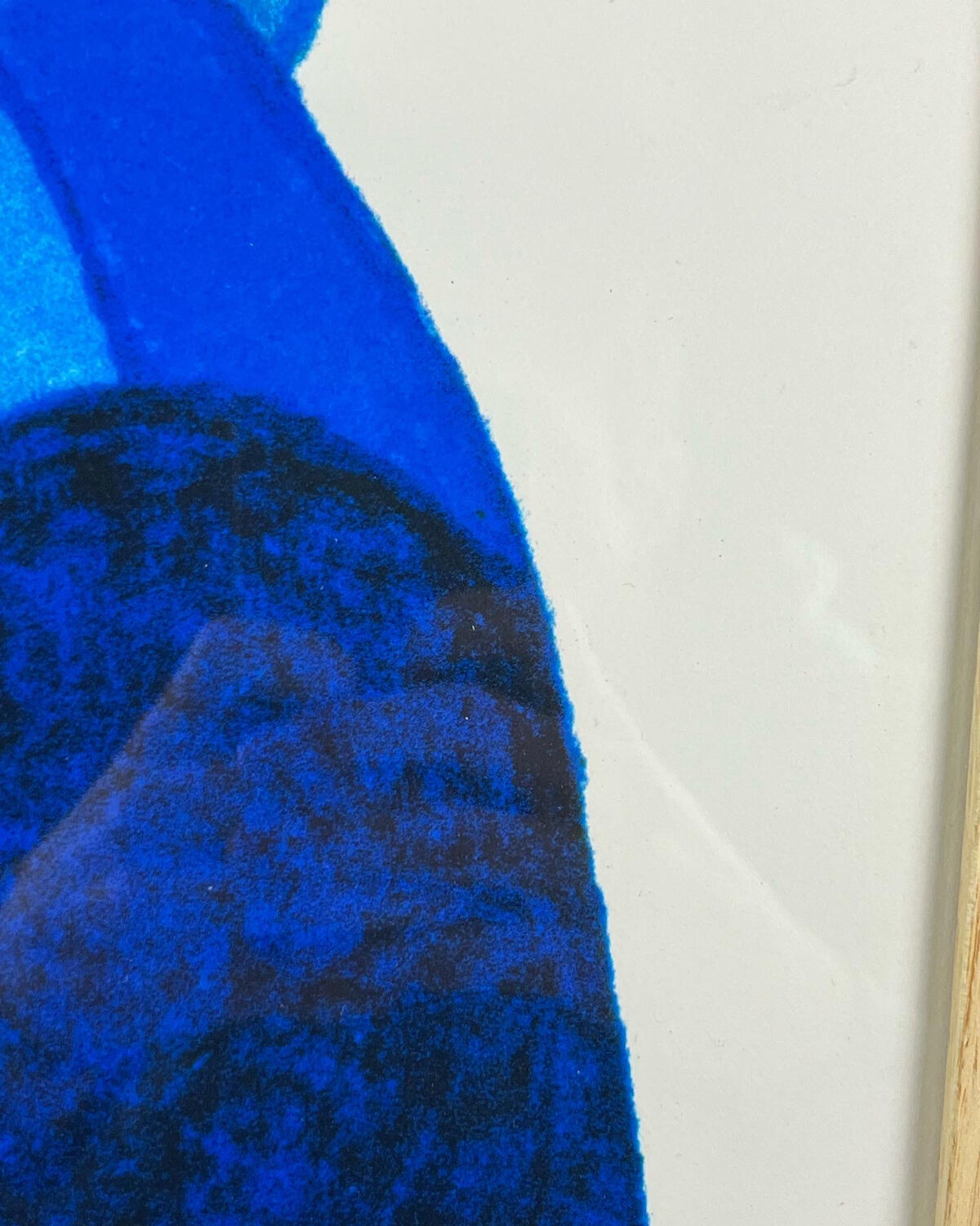 Parrot lithography Barbarossa