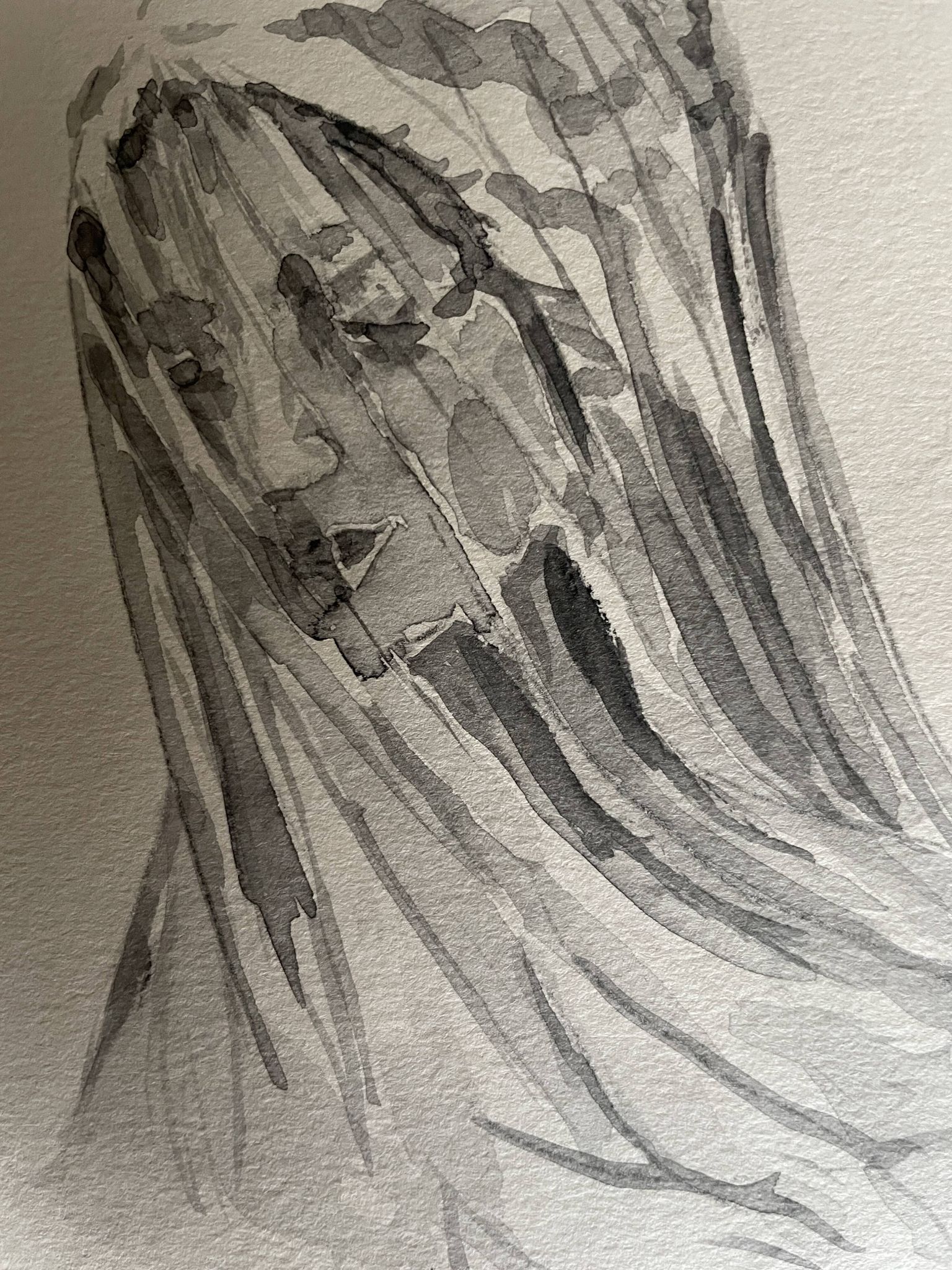 Painting signed watercolor monochrome sepia study statue of “the veiled virgin by Giovanni Strazza”