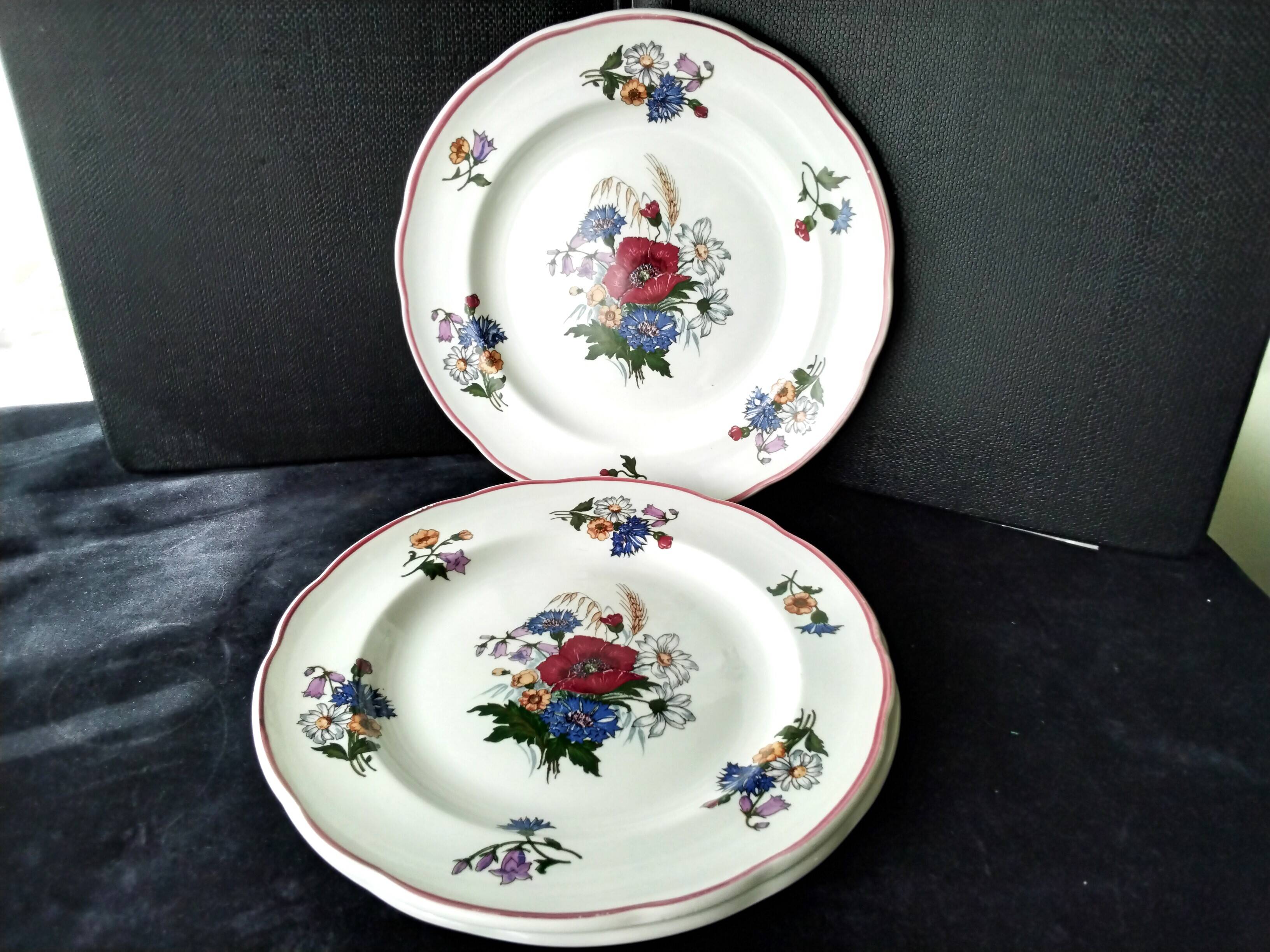 3 Pyroblan Sarreguemines porcelain dinner plates Agreste model