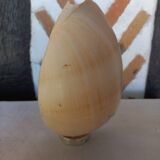 Melo Diadema shell mounted on base