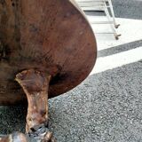 Side table old wood tree trunk vines