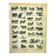 Antique engraving 1928 - Ox, cow, bull - vintage print - farm