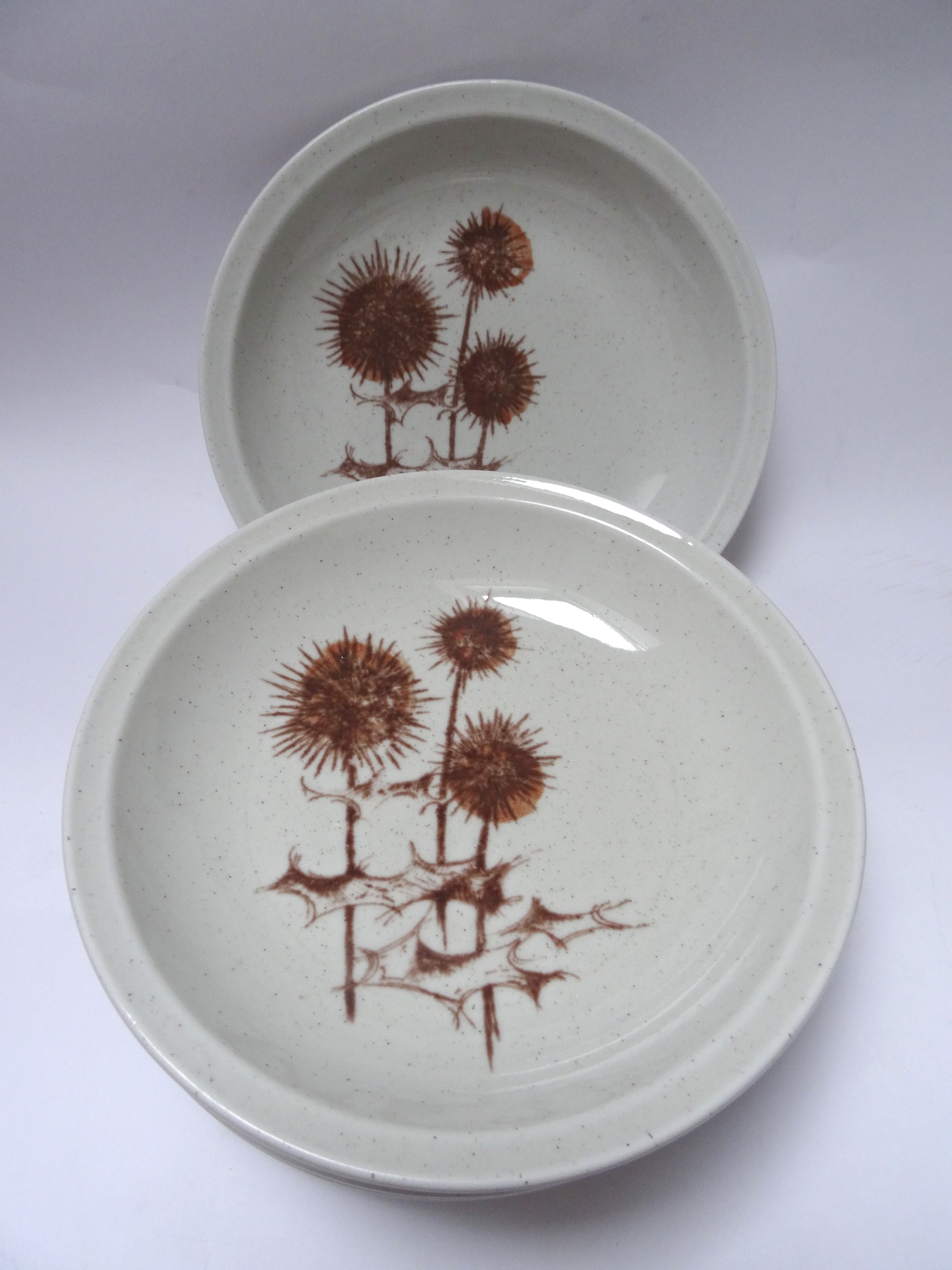 Hollow plates Sarreguemines