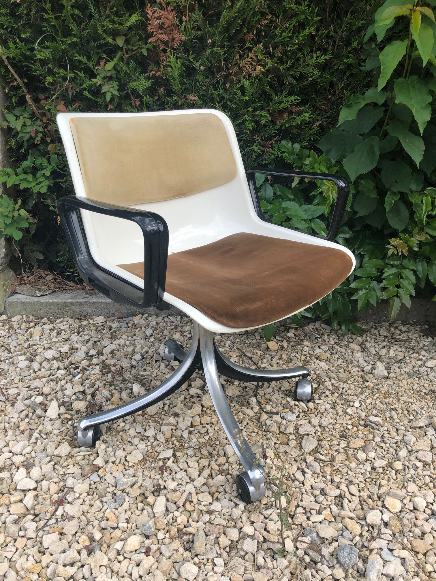 Pair of office chairs Modus Osvaldo Borsani edited by Tecno