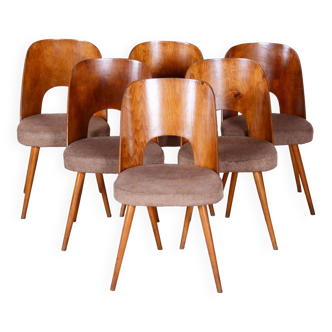 Set of Six Restored Mid-Century Modern Chairs, Beech, Czechia, 1950-1959