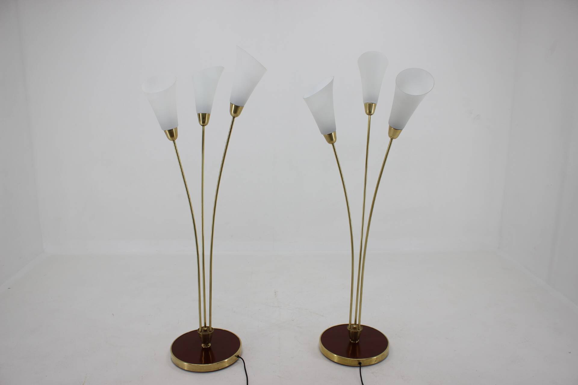 1940s Pair of Art Deco Floor Lamps, Czechoslovakia
