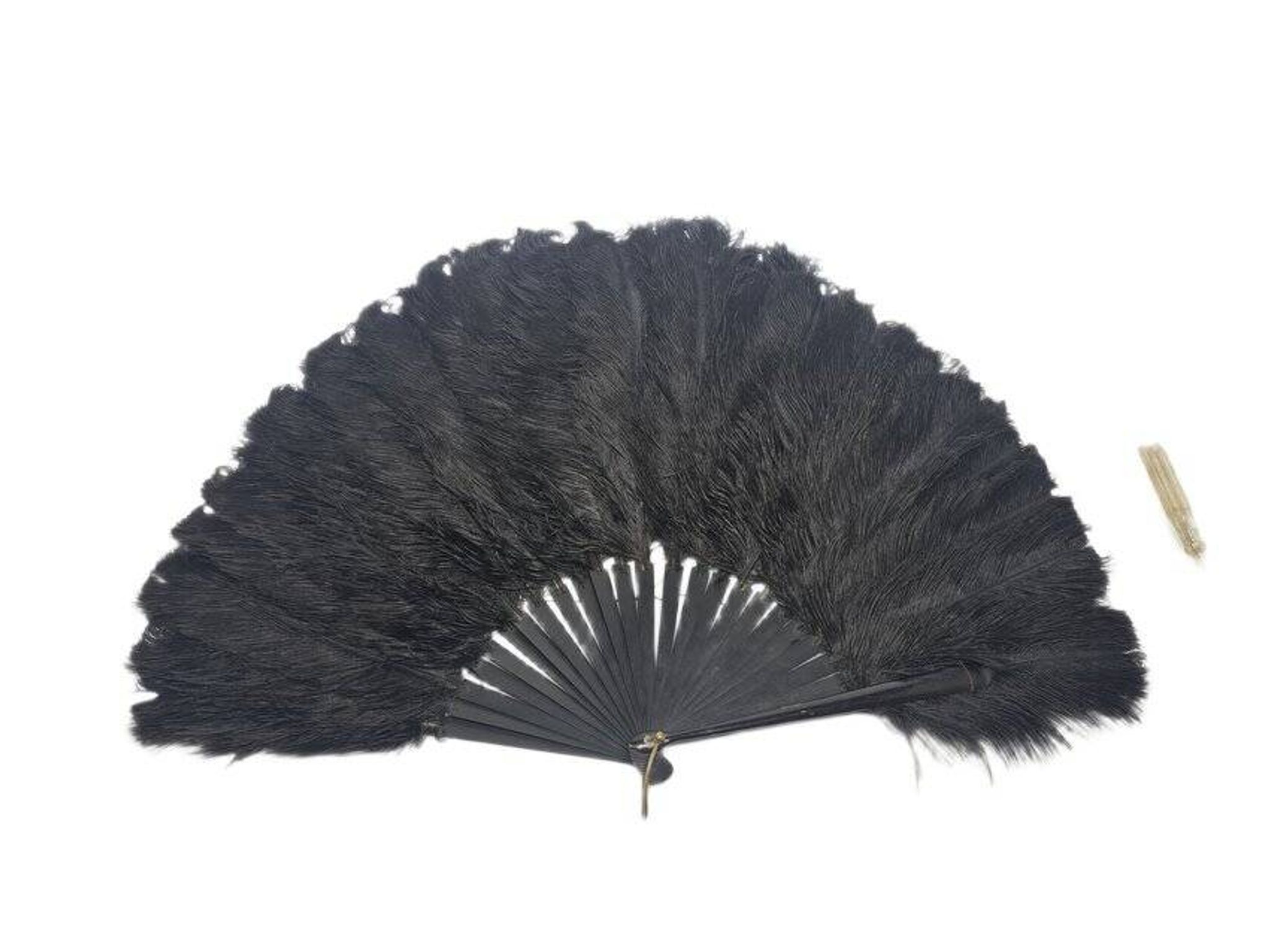 Art Deco Polish Austria feather fan, 1920s